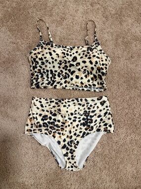 Aerie leopard print high waisted bikini